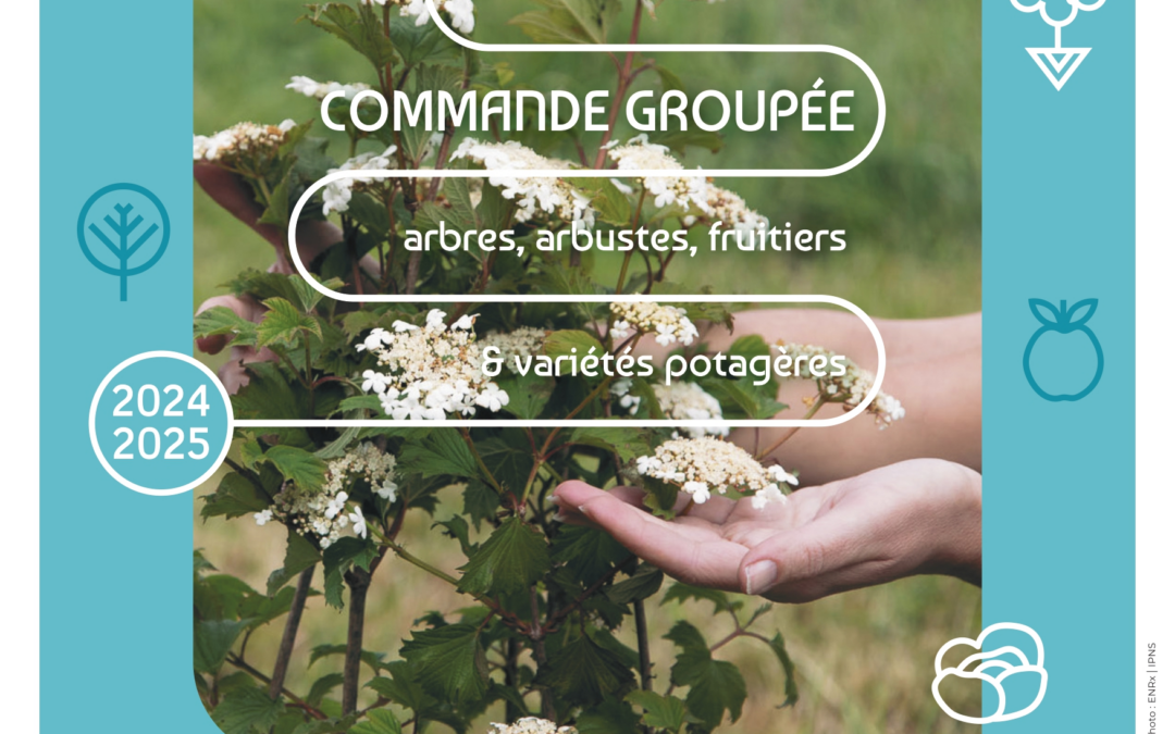 Opération « plantons le décor »