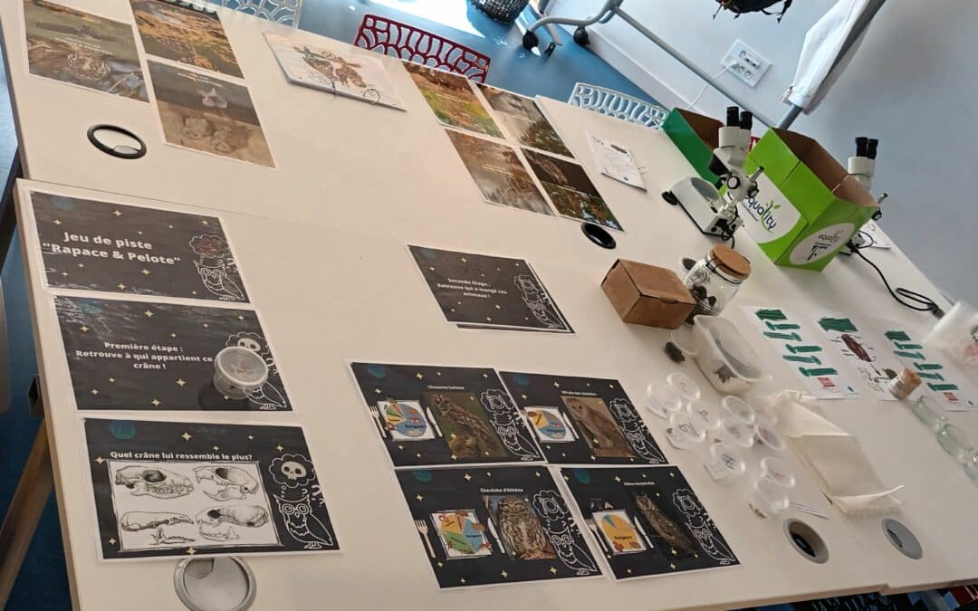 Soirée thématique : Fête de la Nature “à la découverte de la biodiversité nocturne”