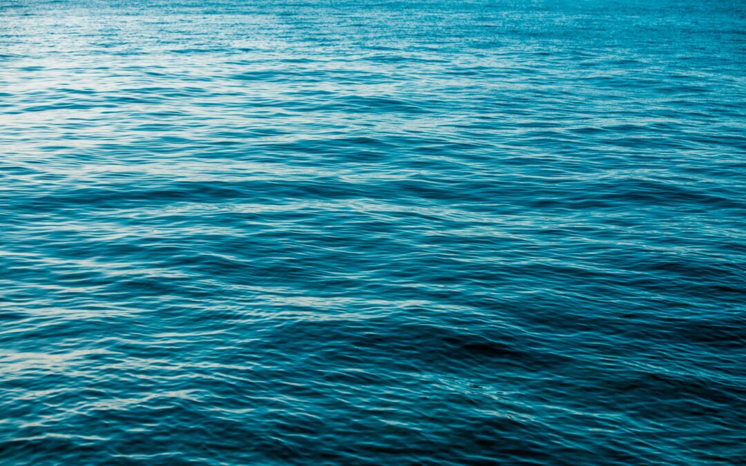 Les jeudis Natures du CPIE : la fin de l’été !