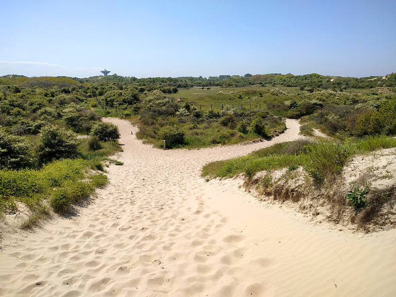 Animation nature CPIE – balade dune Dewulf