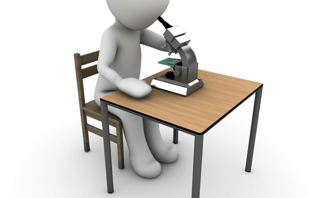 Atelier nature : Observe la nature au microscope !