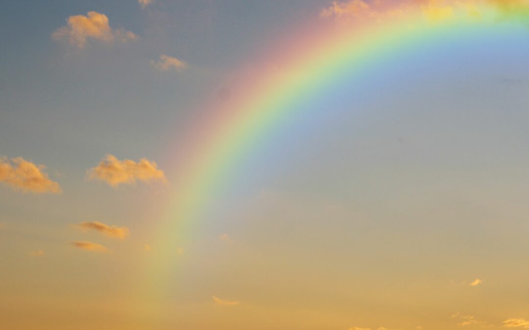 Club nature : les secrets de la météo