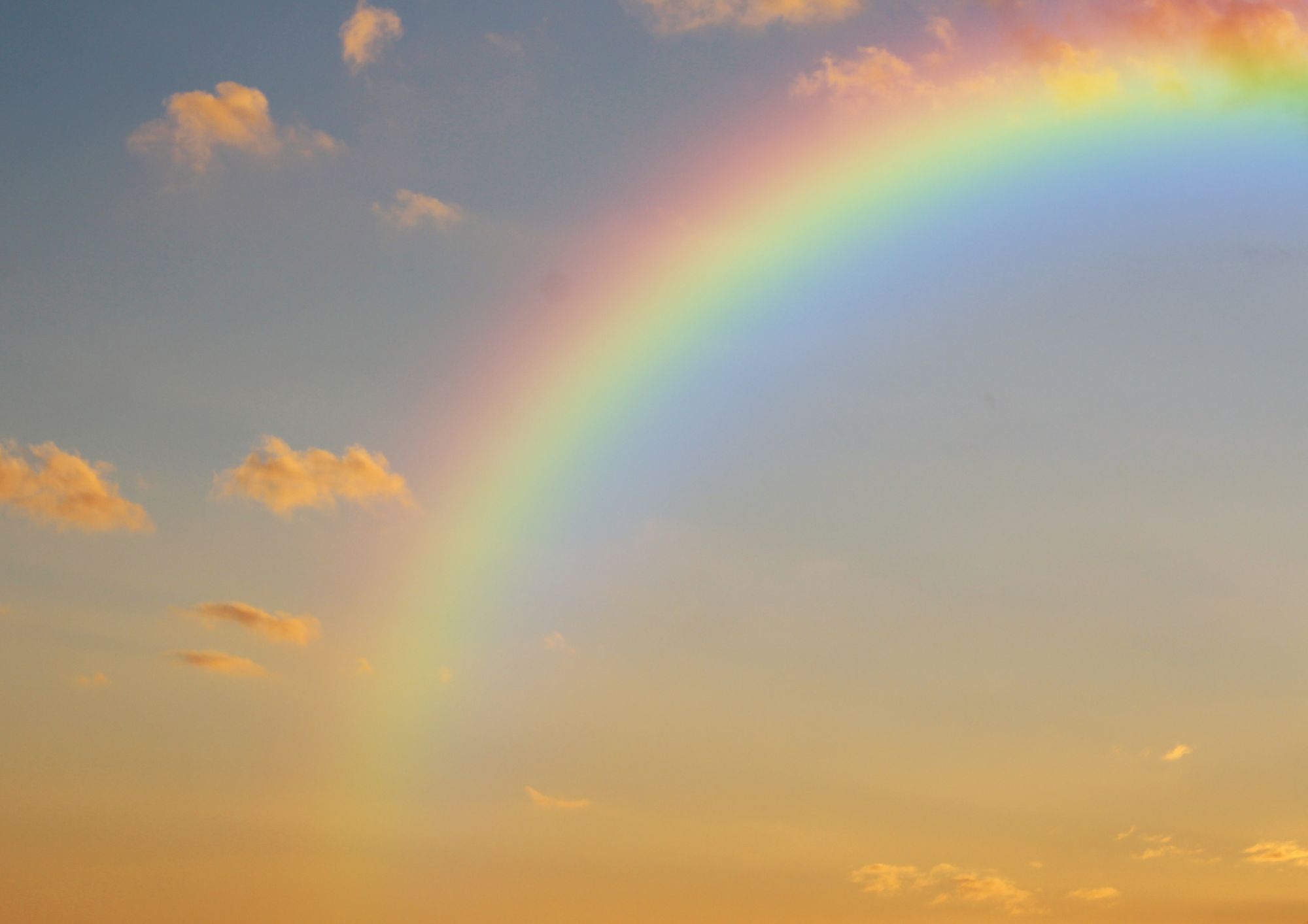 club nature 19 novembre