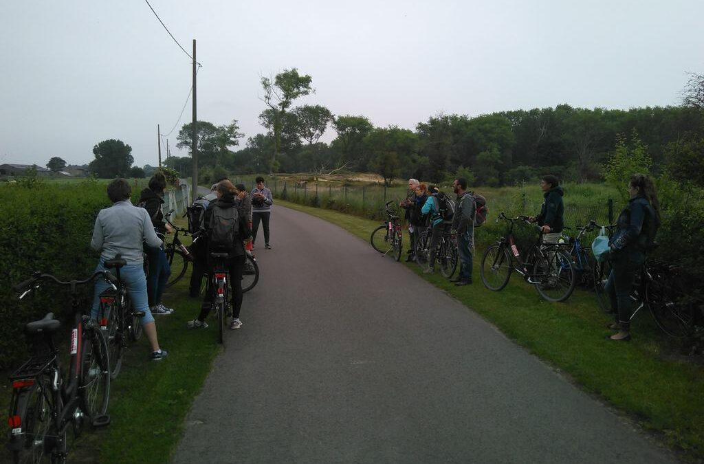 De la Nature au Musée : Pédalez à travers l’art et le vivant !