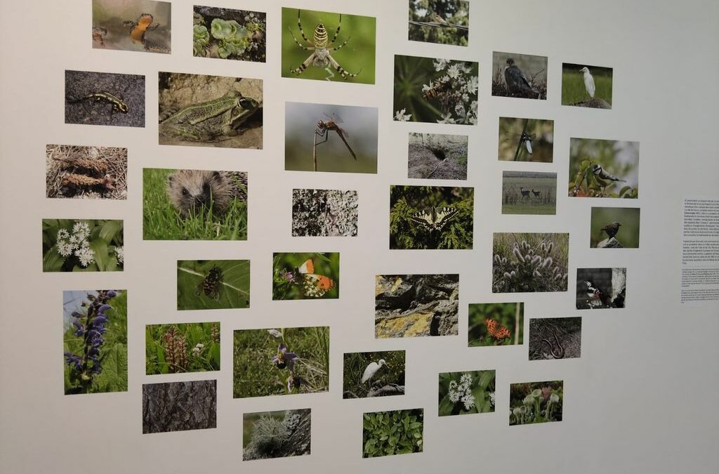 Retour en image sur le vélo photo d’octobre