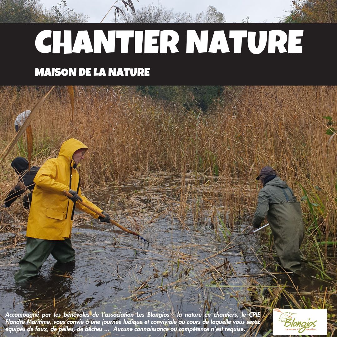 chantier nature