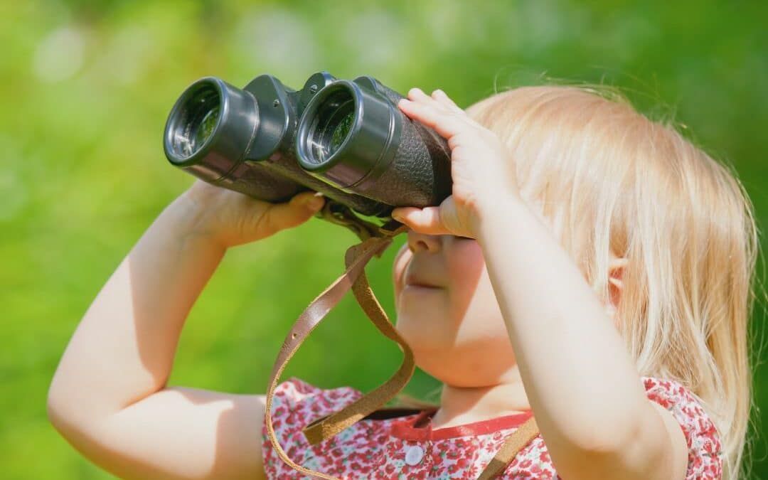 Sortie nature : à la rencontre des oiseaux